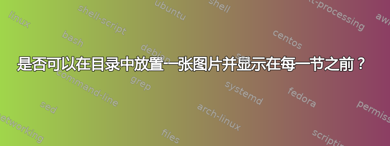 是否可以在目录中放置一张图片并显示在每一节之前？