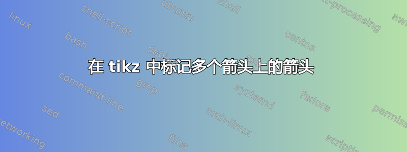 在 tikz 中标记多个箭头上的箭头