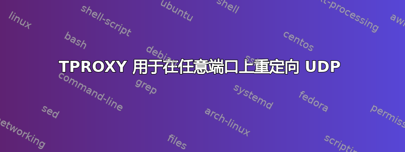 TPROXY 用于在任意端口上重定向 UDP