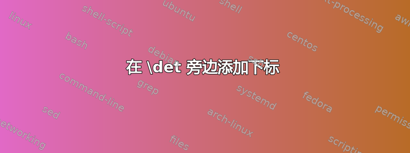 在 \det 旁边添加下标