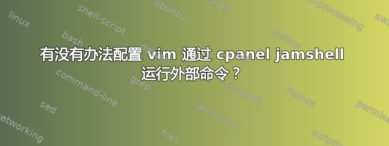 有没有办法配置 vim 通过 cpanel jamshell 运行外部命令？