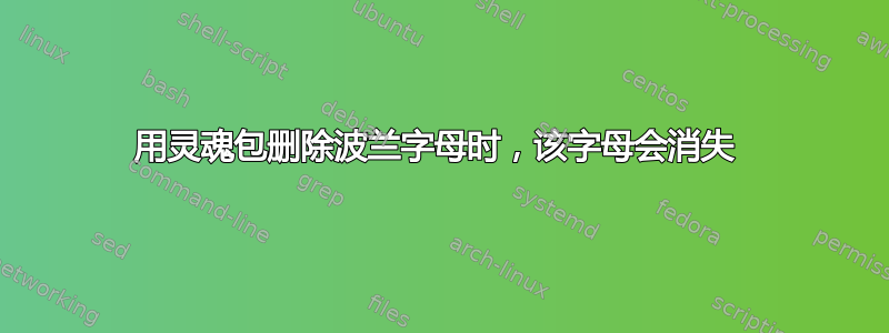 用灵魂包删除波兰字母时，该字母会消失 