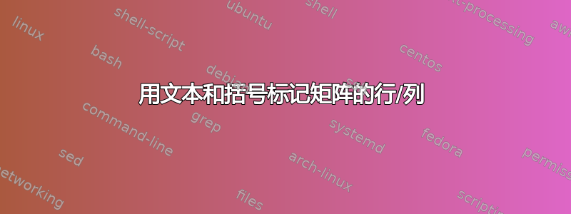 用文本和括号标记矩阵的行/列