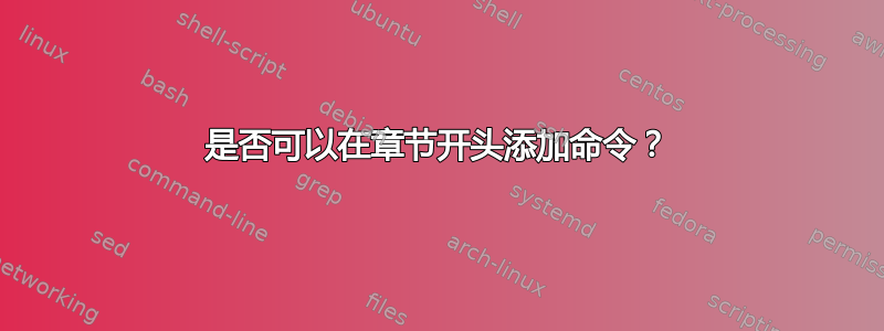 是否可以在章节开头添加命令？