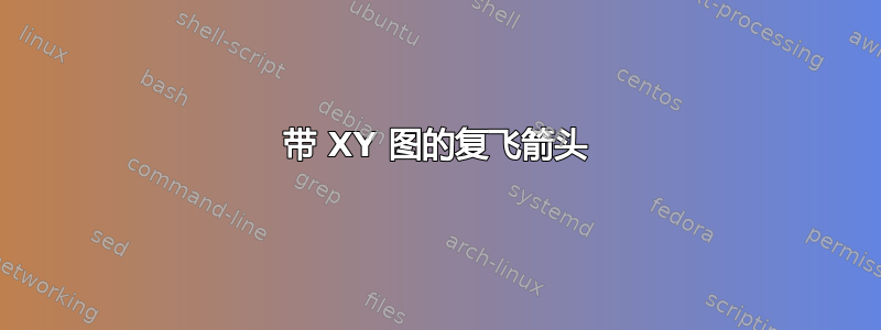 带 XY 图的复飞箭头