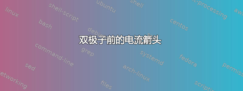 双极子前的电流箭头