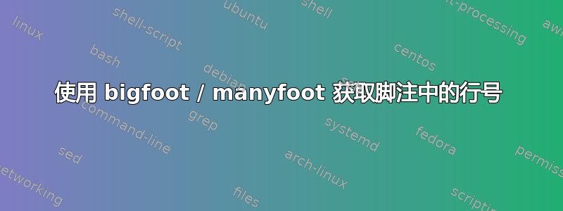 使用 bigfoot / manyfoot 获取脚注中的行号