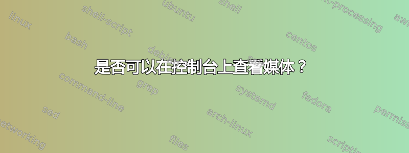 是否可以在控制台上查看媒体？