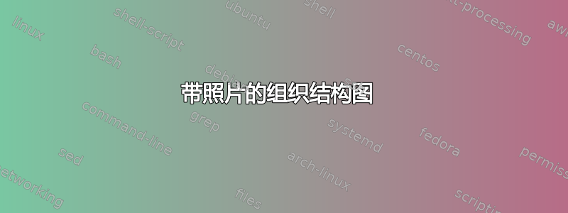 带照片的组织结构图 