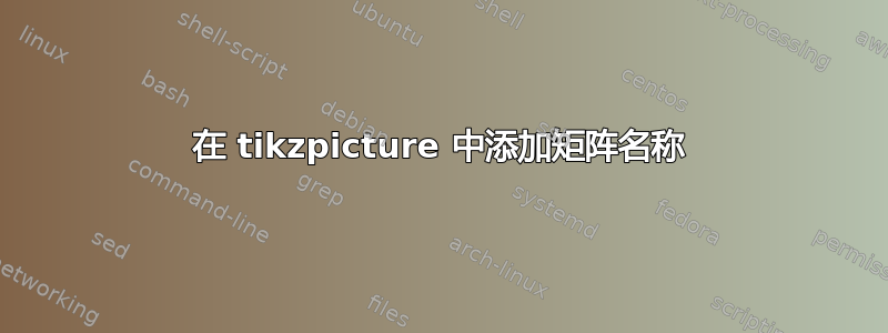 在 tikzpicture 中添加矩阵名称