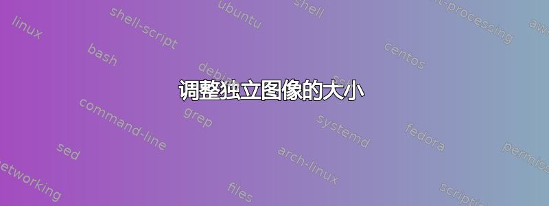 调整独立图像的大小