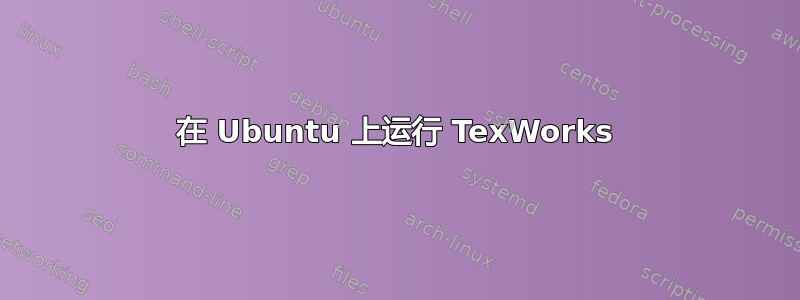 在 Ubuntu 上运行 TexWorks