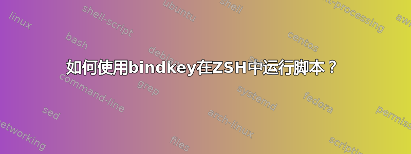 如何使用bindkey在ZSH中运行脚本？