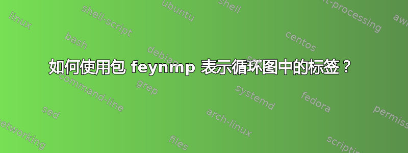 如何使用包 feynmp 表示循环图中的标签？