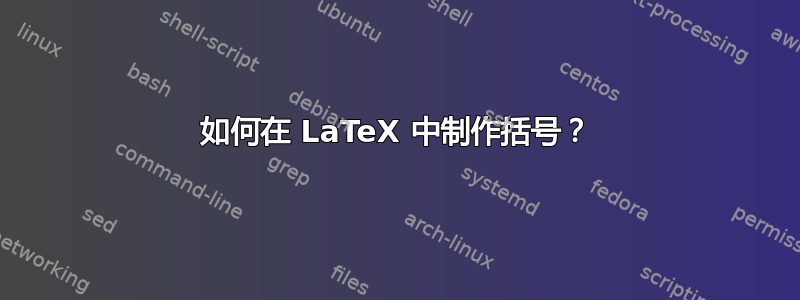 如何在 LaTeX 中制作括号？