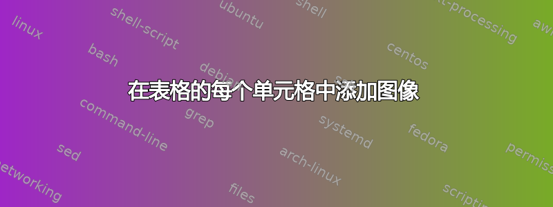 在表格的每个单元格中添加图像