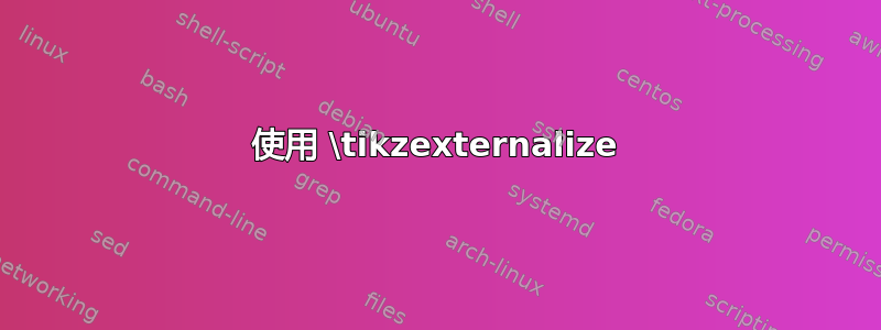 使用 \tikzexternalize