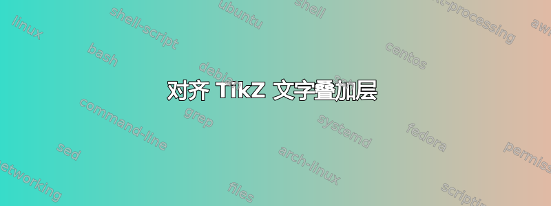 对齐 TikZ 文字叠加层