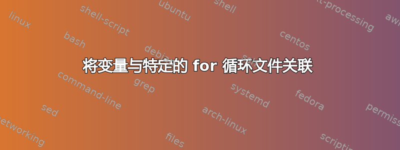 将变量与特定的 for 循环文件关联