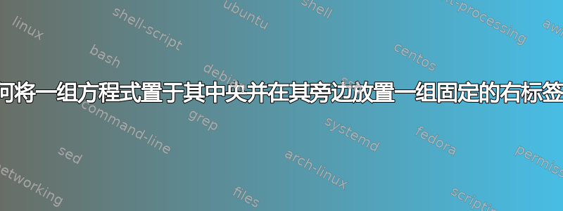 如何将一组方程式置于其中央并在其旁边放置一组固定的右标签？