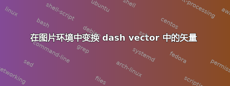 在图片环境中变换 dash vector 中的矢量