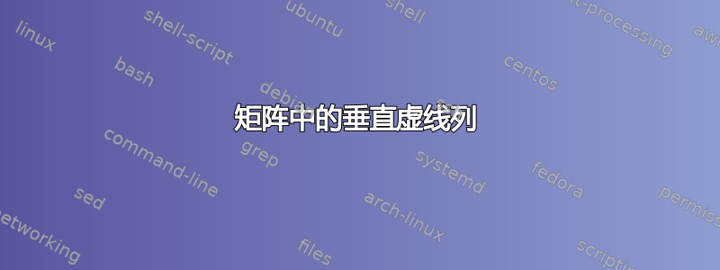 矩阵中的垂直虚线列