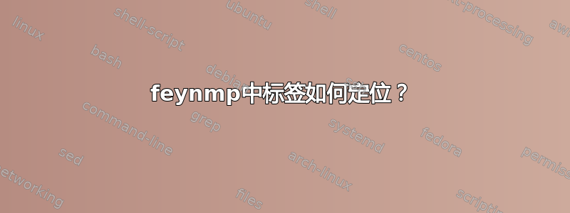 feynmp中标签如何定位？