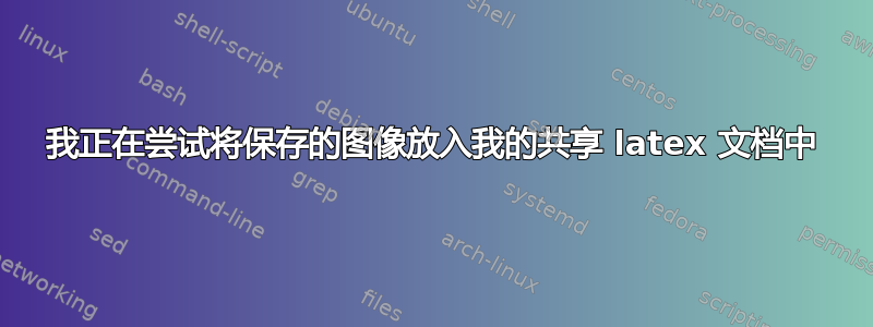 我正在尝试将保存的图像放入我的共享 latex 文档中