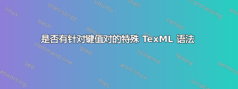 是否有针对键值对的特殊 TexML 语法