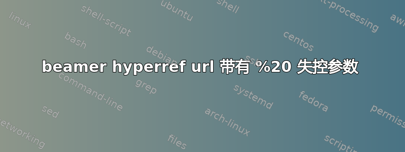 beamer hyperref url 带有 %20 失控参数