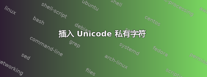 插入 Unicode 私有字符