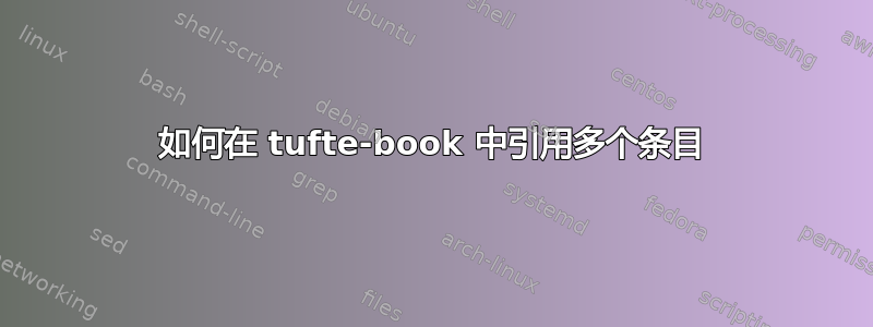 如何在 tufte-book 中引用多个条目