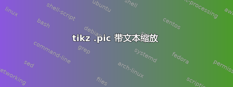 tikz .pic 带文本缩放