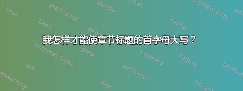 我怎样才能使章节标题的首字母大写？