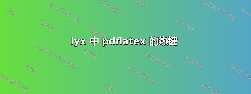 lyx 中 pdflatex 的热键