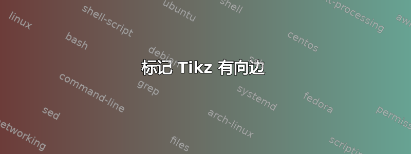 标记 Tikz 有向边