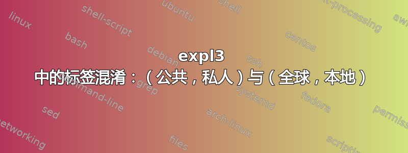 expl3 中的标签混淆：（公共，私人）与（全球，本地）