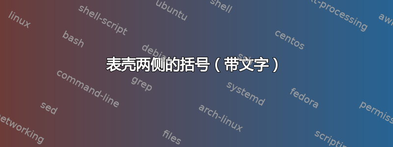 表壳两侧的括号（带文字）