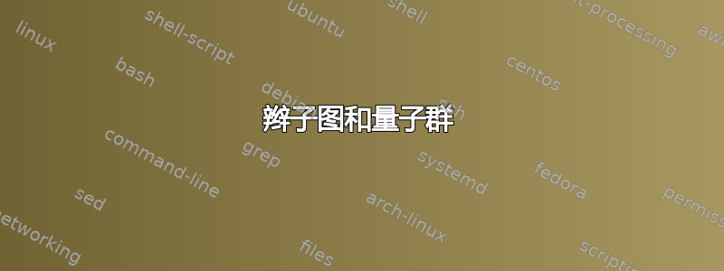 辫子图和量子群