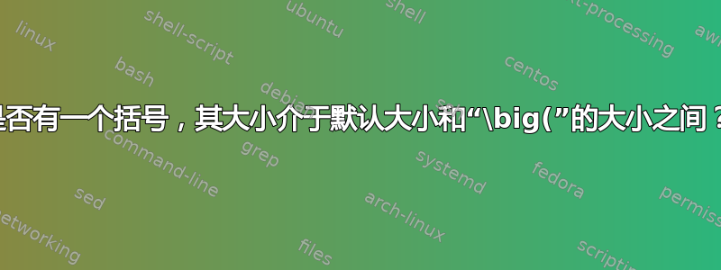 是否有一个括号，其大小介于默认大小和“\big(”的大小之间？