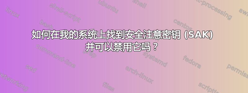 如何在我的系统上找到安全注意密钥 (SAK) 并可以禁用它吗？