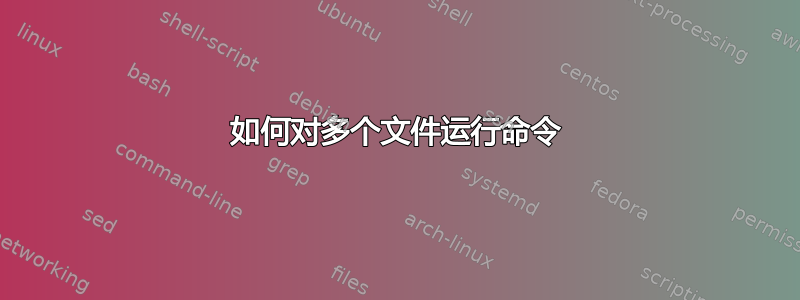 如何对多个文件运行命令