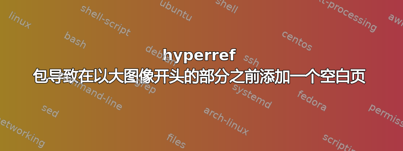 hyperref 包导致在以大图像开头的部分之前添加一个空白页