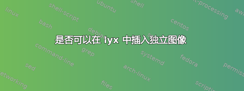 是否可以在 lyx 中插入独立图像