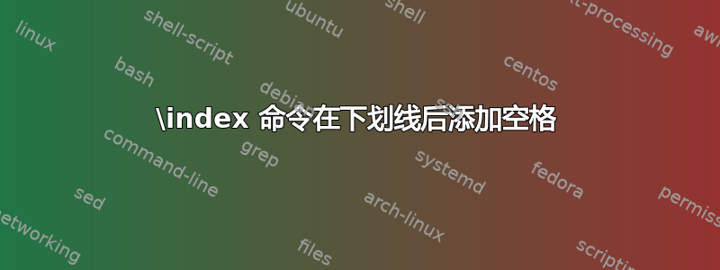 \index 命令在下划线后添加空格