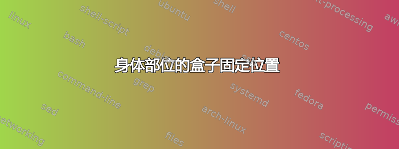 身体部位的盒子固定位置