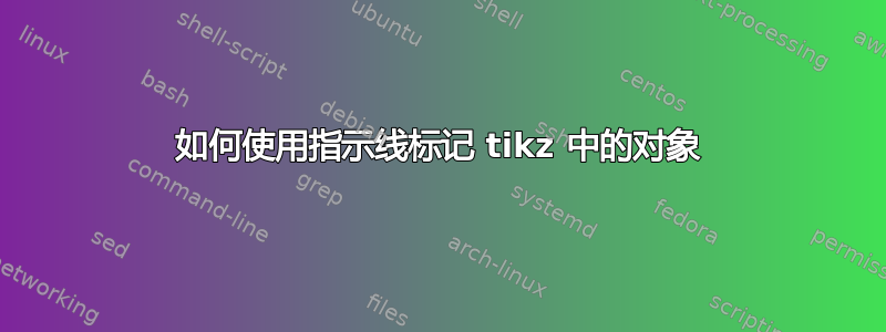 如何使用指示线标记 tikz 中的对象