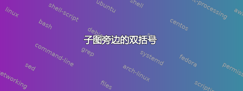 子图旁边的双括号