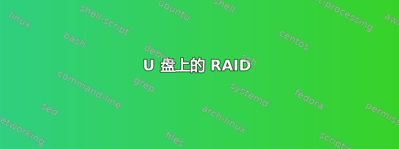 U 盘上的 RAID