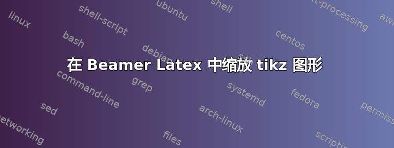 在 Beamer Latex 中缩放 tikz 图形